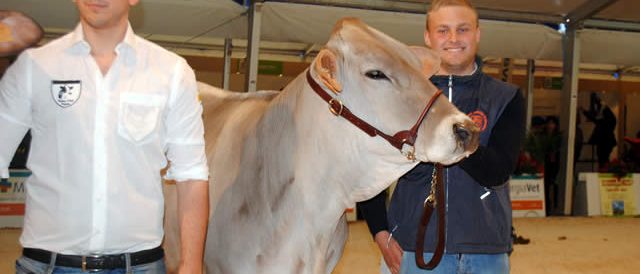 Immagine 2: Mostra Interregionale Bovina, alla premiazione l'assessore Nardoni