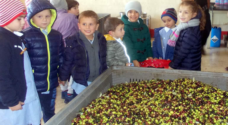 Scuola Guarella: i bambini ‘fanno’ l’olio