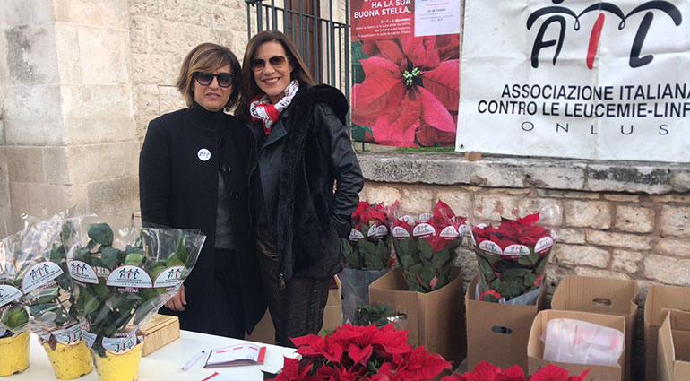 Natale AIL, vendute oltre 500 stelle