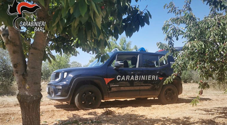 Si fingono Carabinieri e compiono un furto in casa