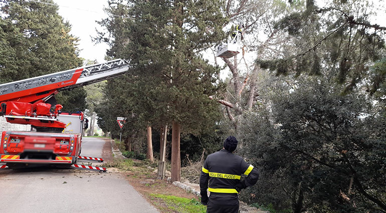 Madonna della Scala: Albero cade sui cavi dell’alta tensione